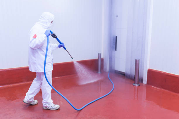 Best Roof Washing  in Westminster, LA